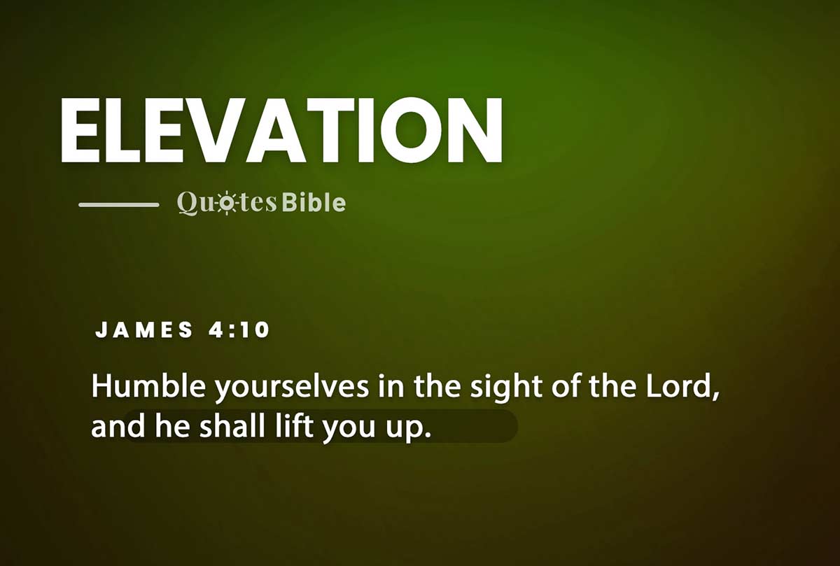 elevation bible verses quote