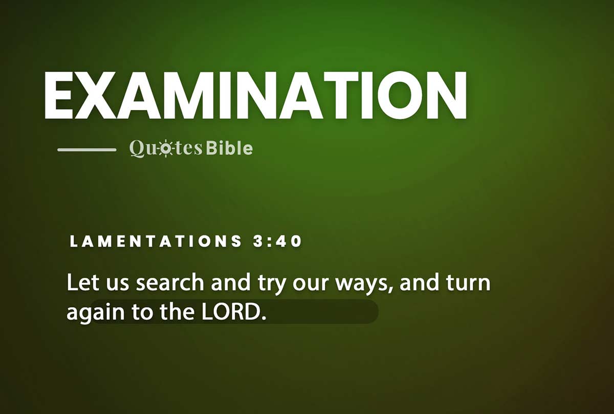 examination bible verses quote