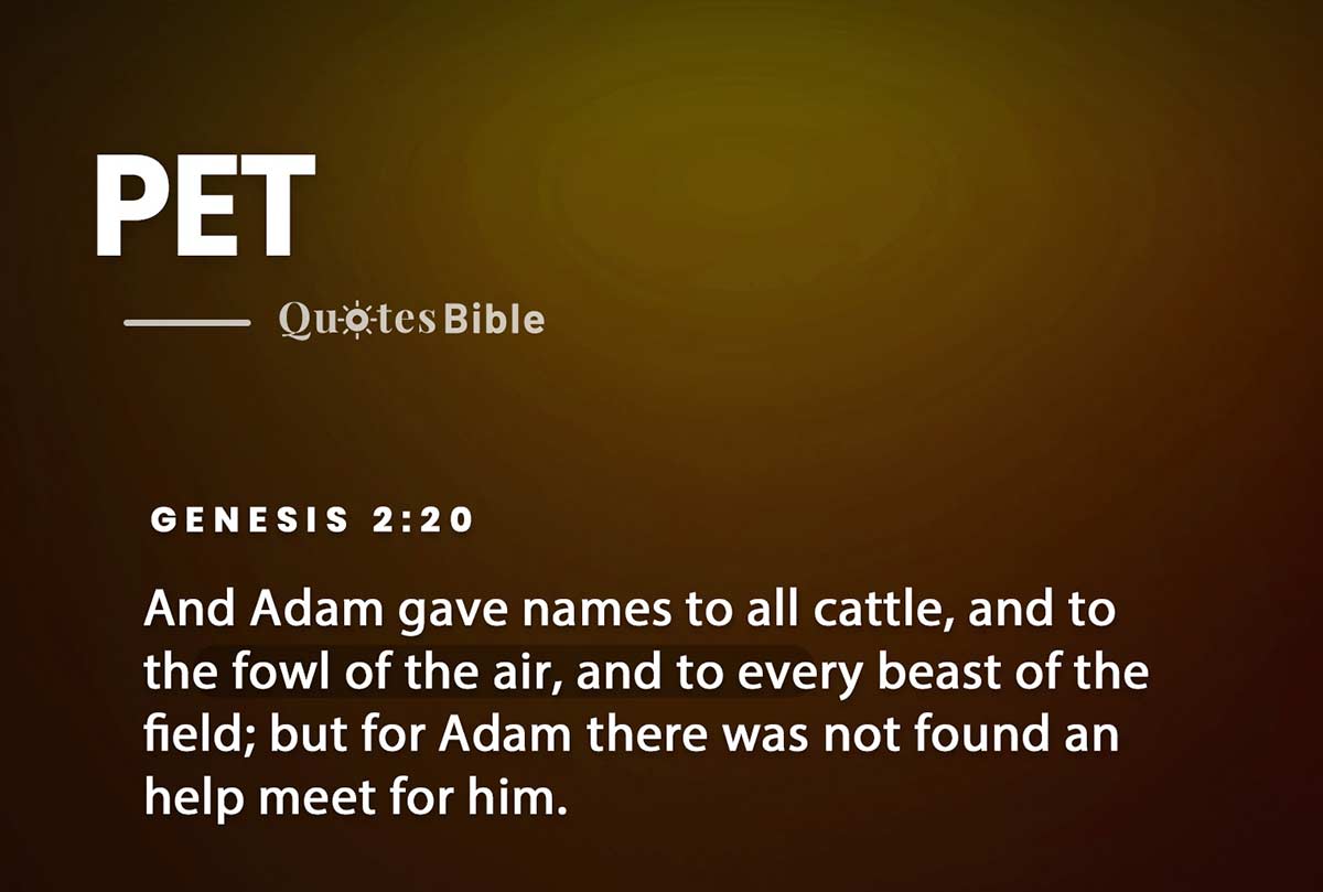 pet bible verses quote