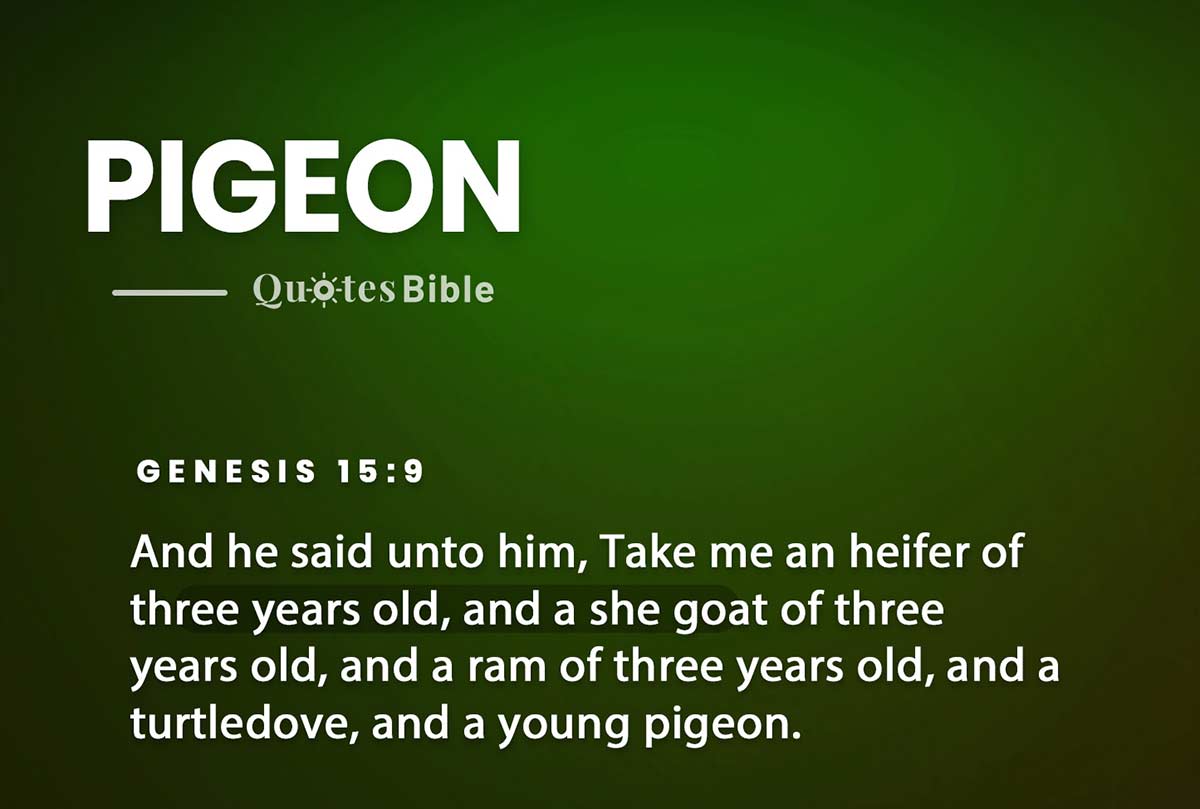 pigeon bible verses quote