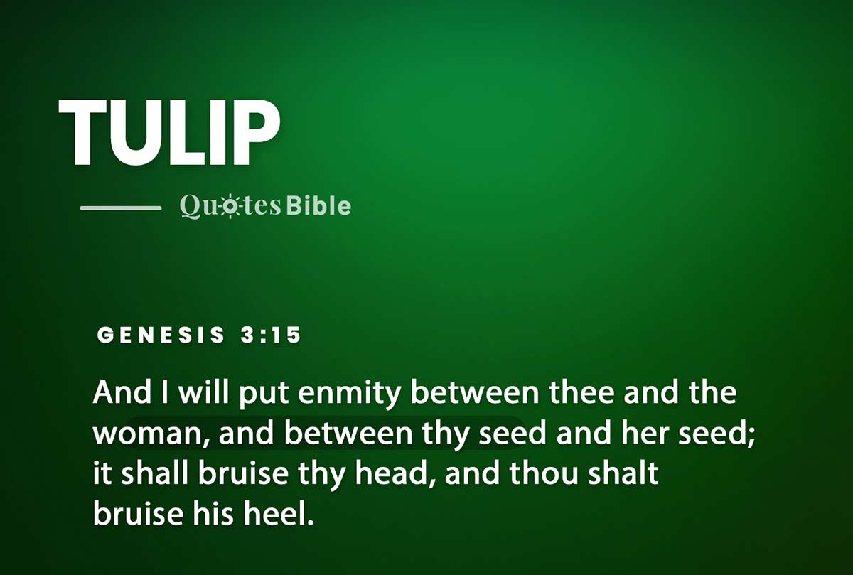 tulip bible verses quote