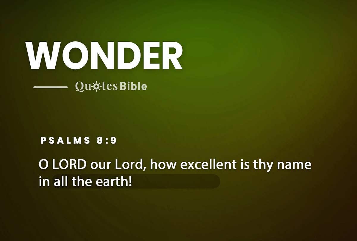 wonder bible verses quote