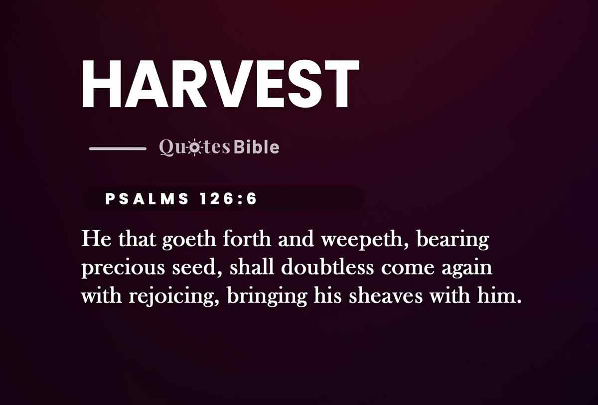 harvest bible verses photo