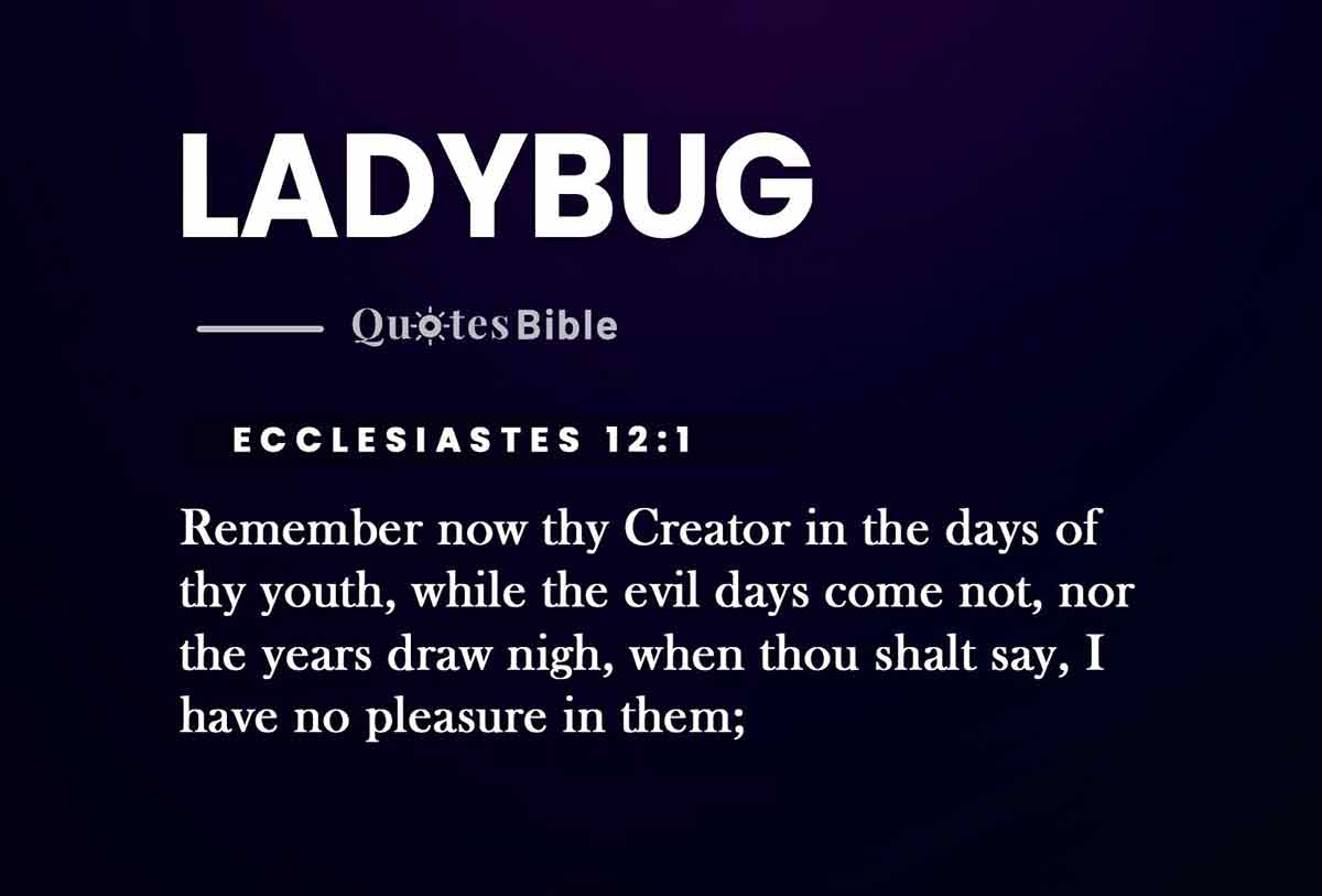 ladybug bible verses quote