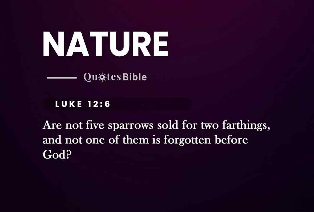 nature bible verses quote