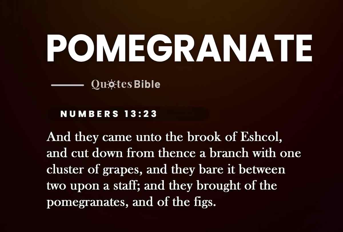 pomegranate bible verses photo