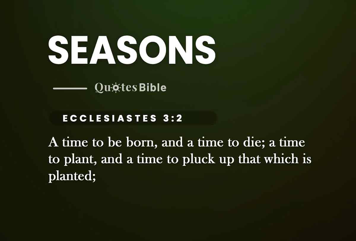 seasons bible verses quote