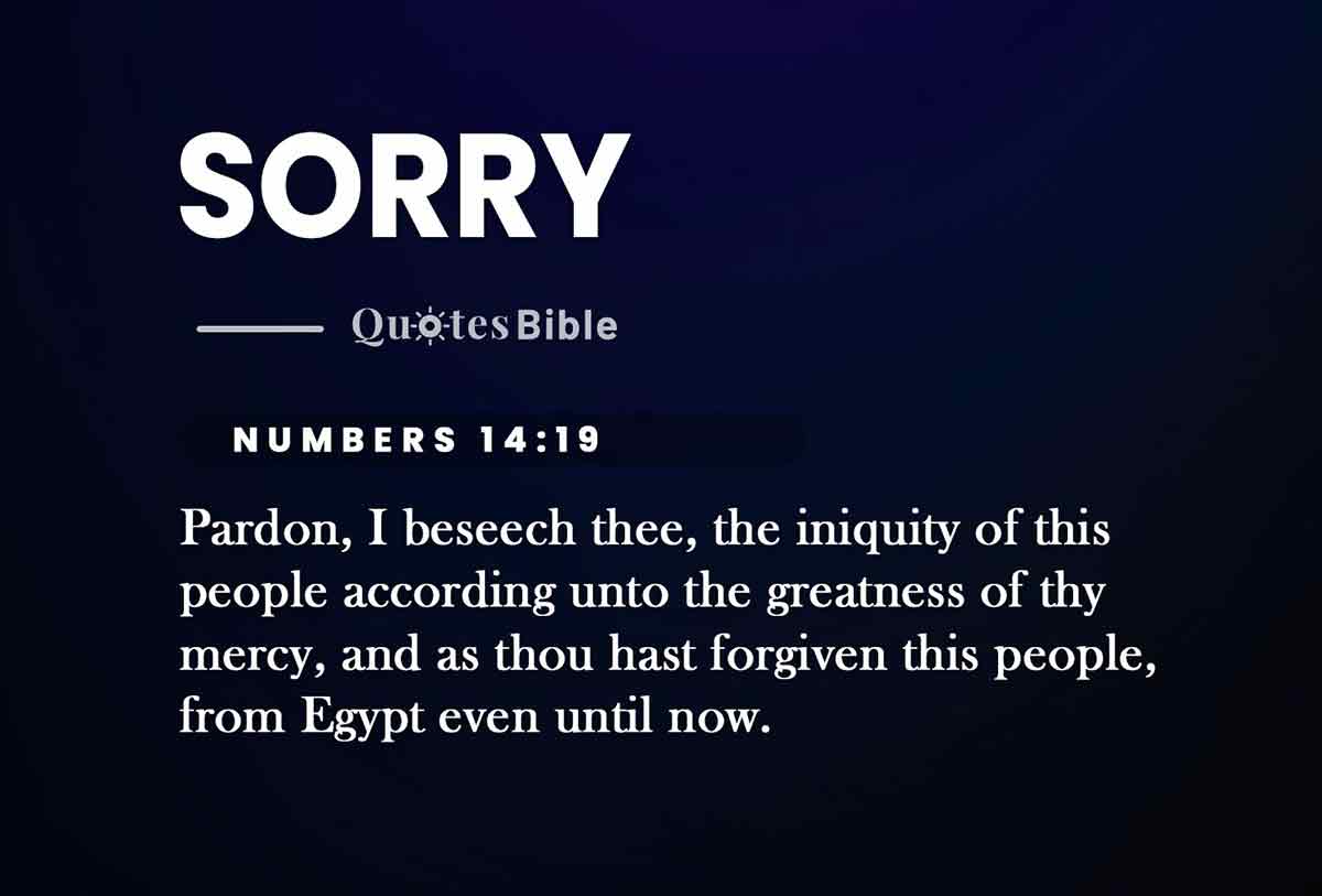 sorry bible verses quote