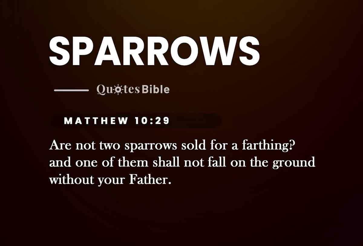 sparrows bible verses quote