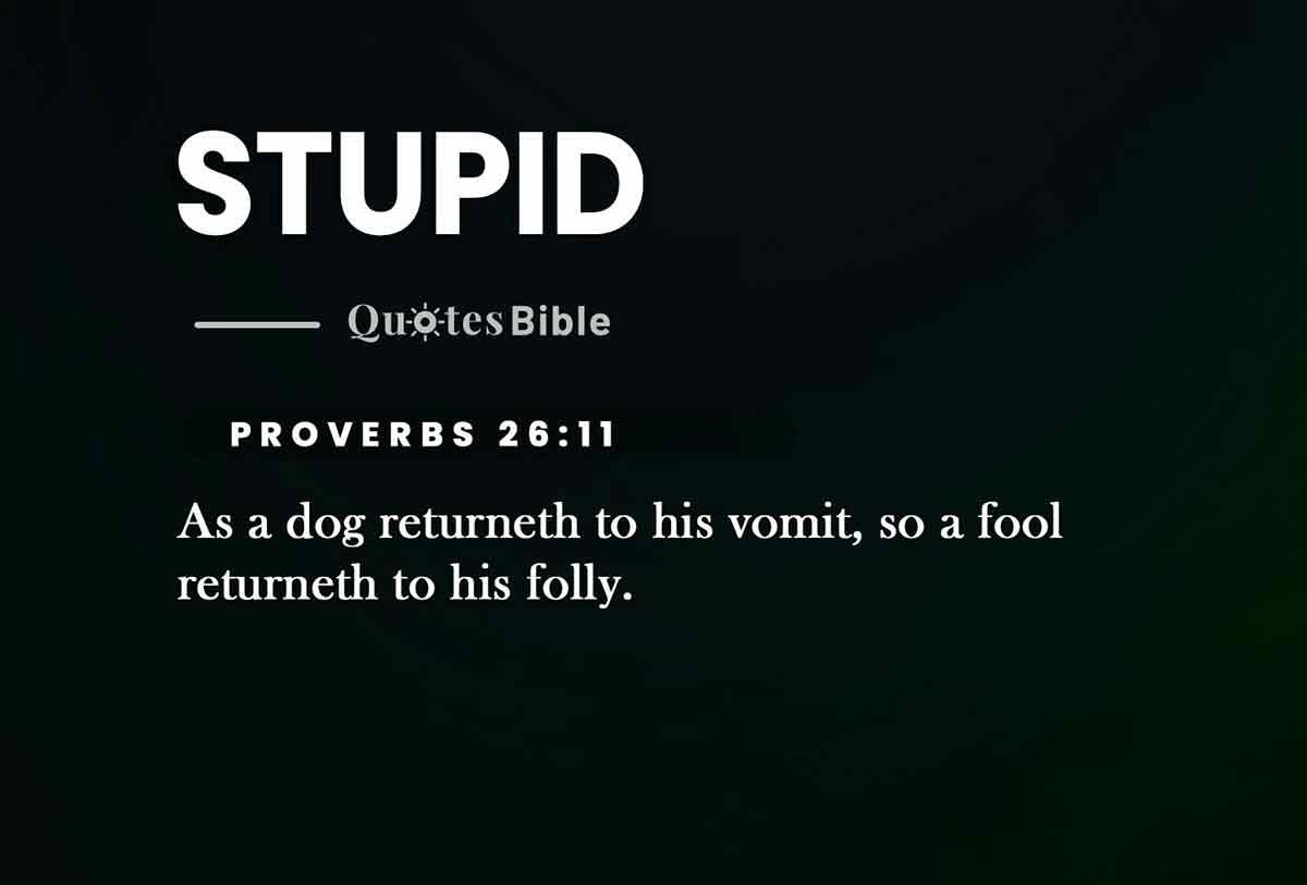 stupid bible verses photo