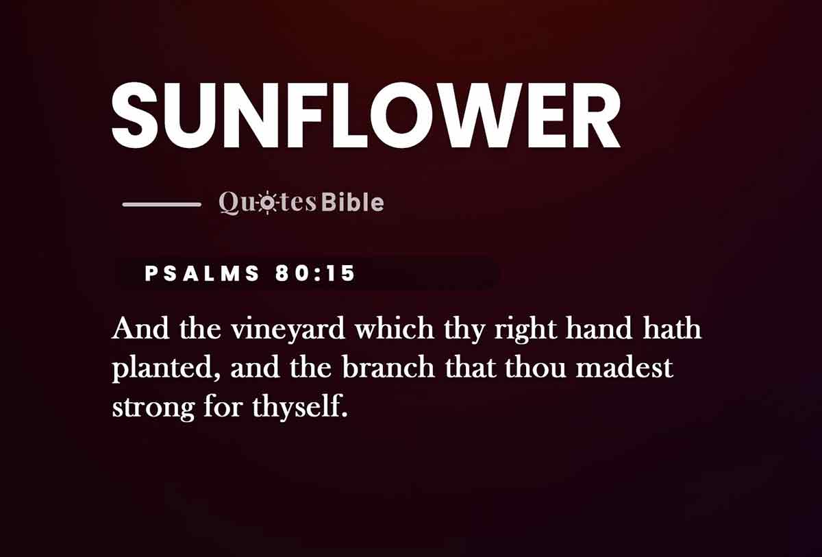 sunflower bible verses quote