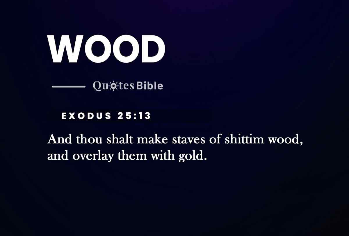 wood bible verses photo