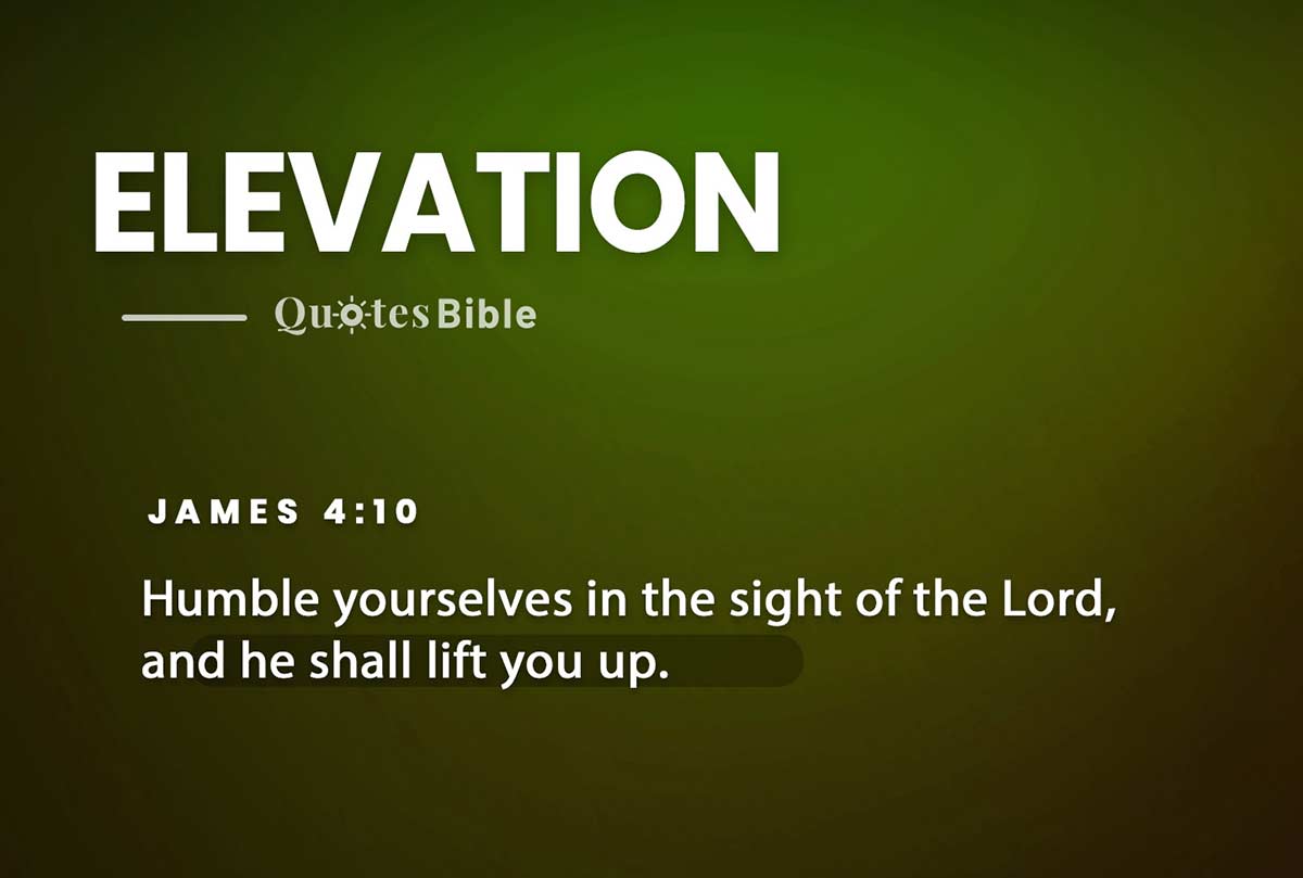 elevation bible verses photo