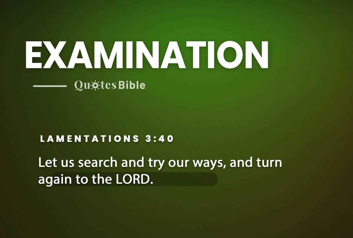examination bible verses photo