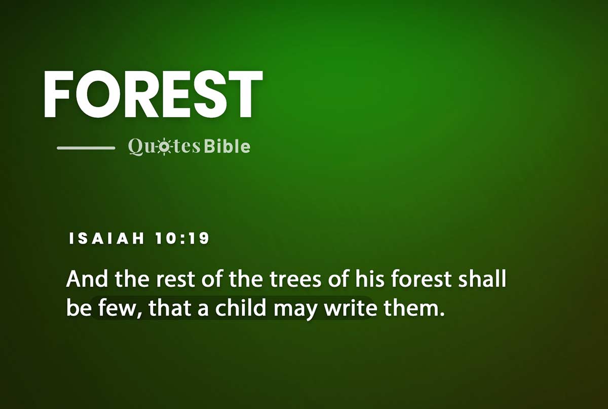forest bible verses photo