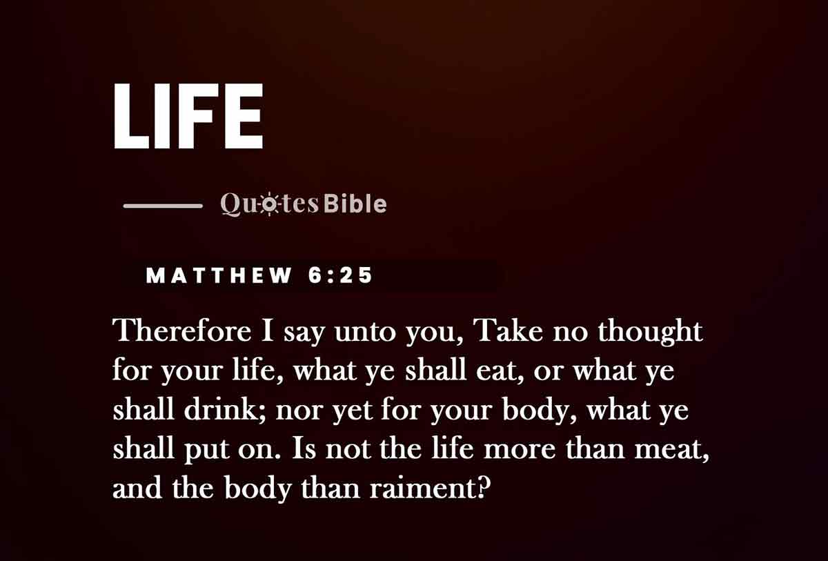 life bible verses photo