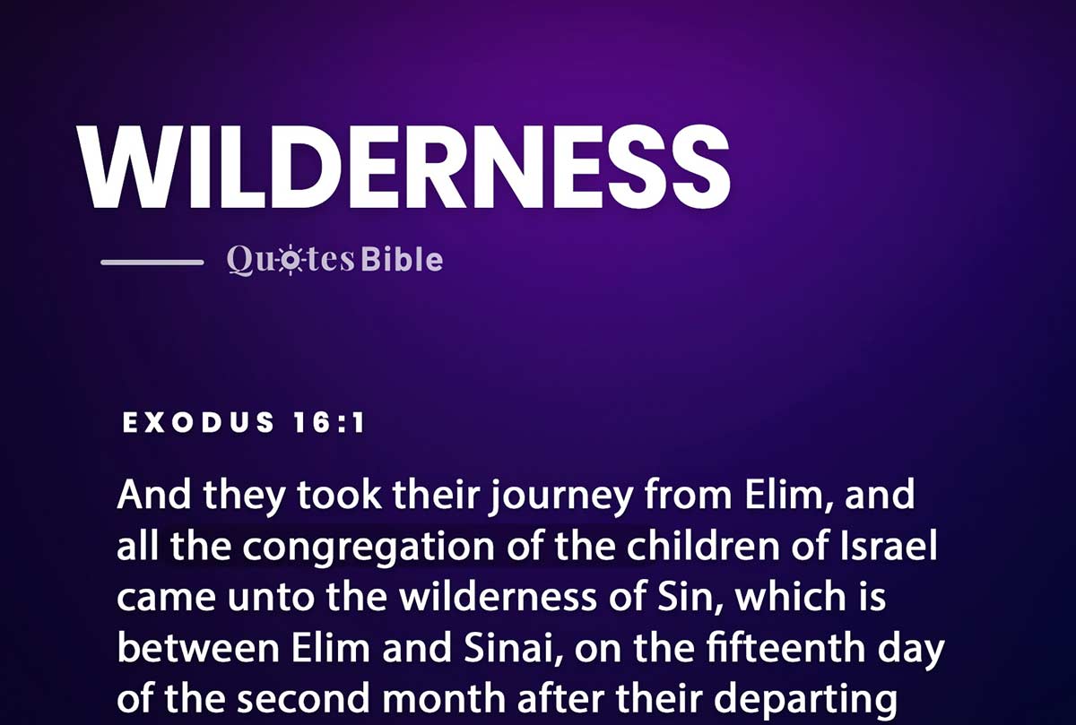 wilderness bible verses photo