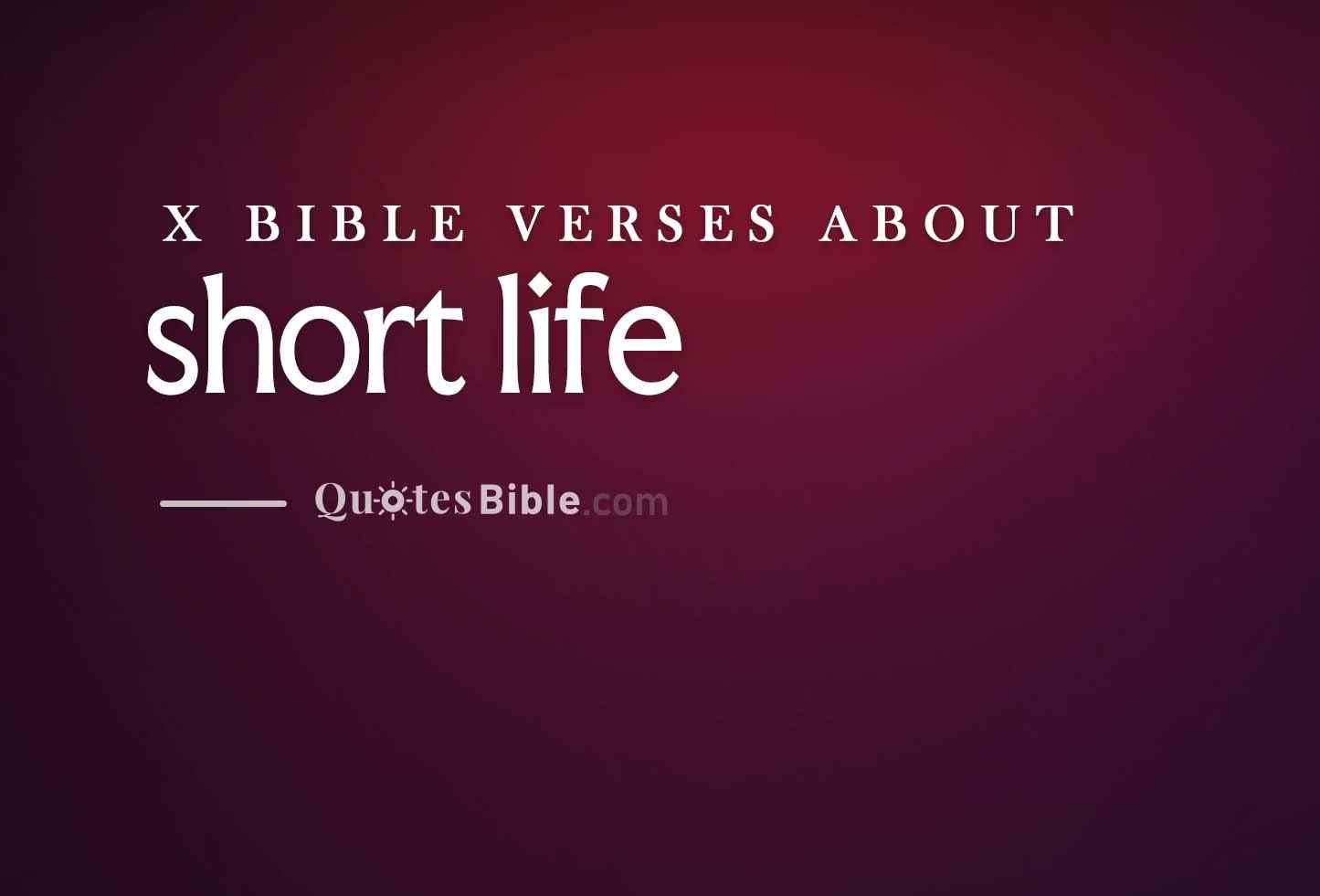 short life bible verses photo